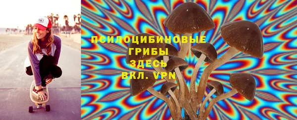 мдпв Иннополис