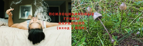 гидропоника Зерноград
