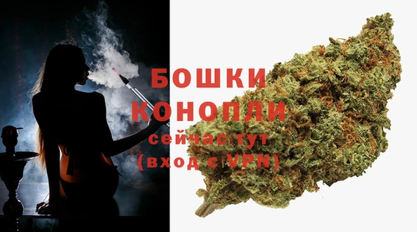 мдпв Иннополис