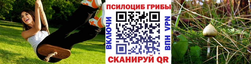 Купить закладки  Краснокамск  Псилоцибиновые грибы мицелий 